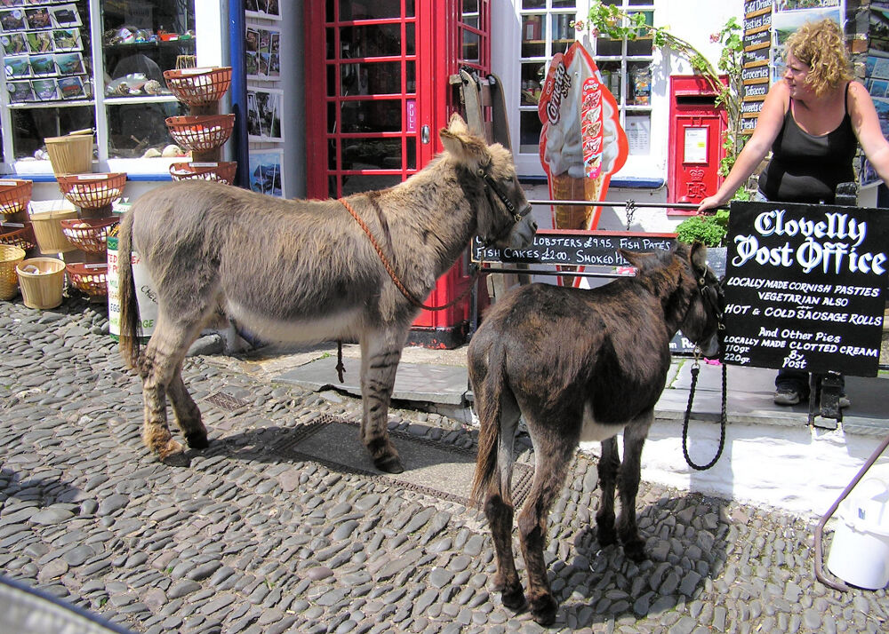 Clovelly Post office and donkeys