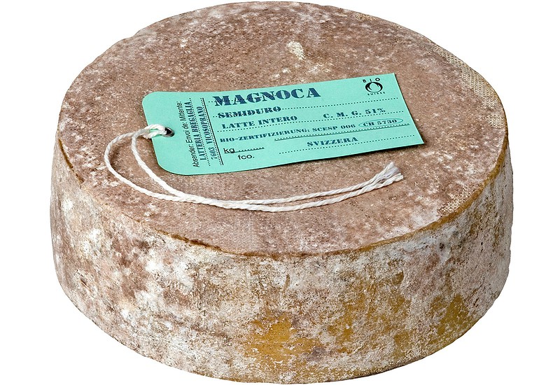 Magnoca Käse
