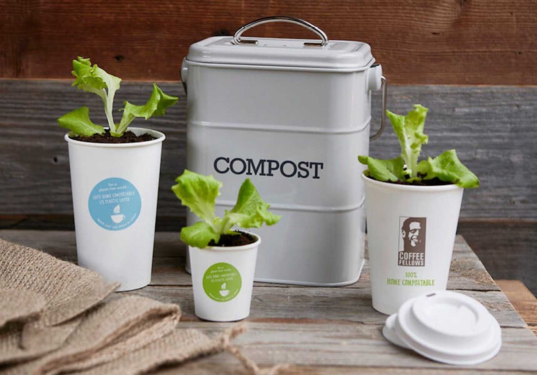 Drei Größen des Coffee Fellows ToGo Bechers, jeweils mit einer Pflanze gefüllt und ein Compost im Hintergrund