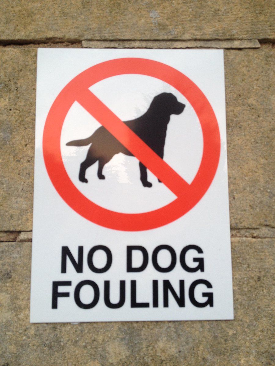 oh my god twitter doesn’t include alt text from images in their API