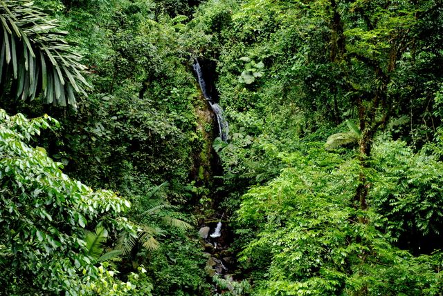 Arenal Hanging Bridges - Arenal Costa Rica