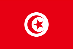 flag_tn