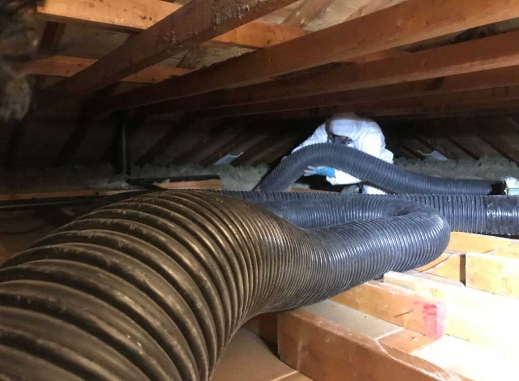 insulation-removal