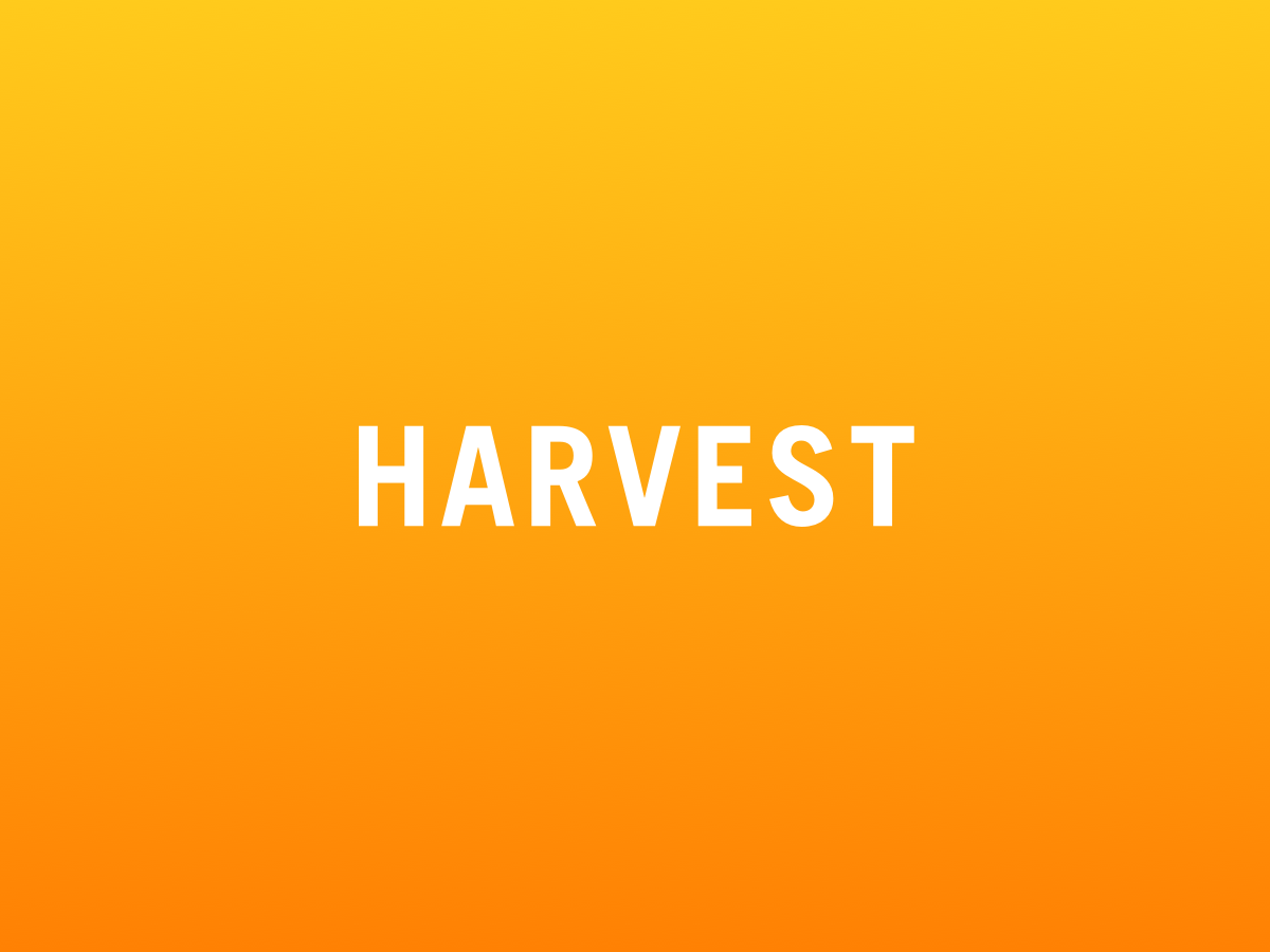 Harvest Illustration