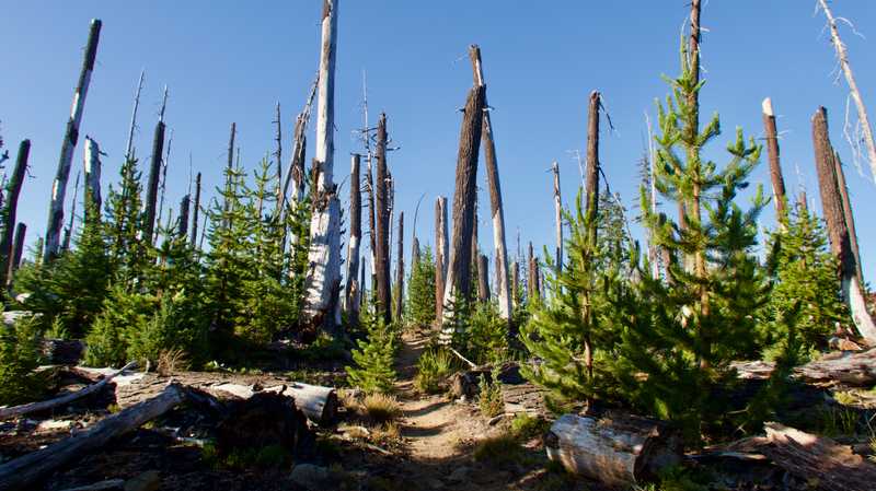 PCT 2019: Day 102, Brahma Lake to Lower Rosary Lake | Hike with Gravity