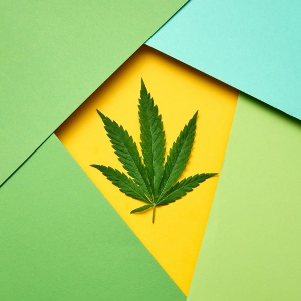 Top 5 CBD Oil Benefits Based On Facts & Evidence