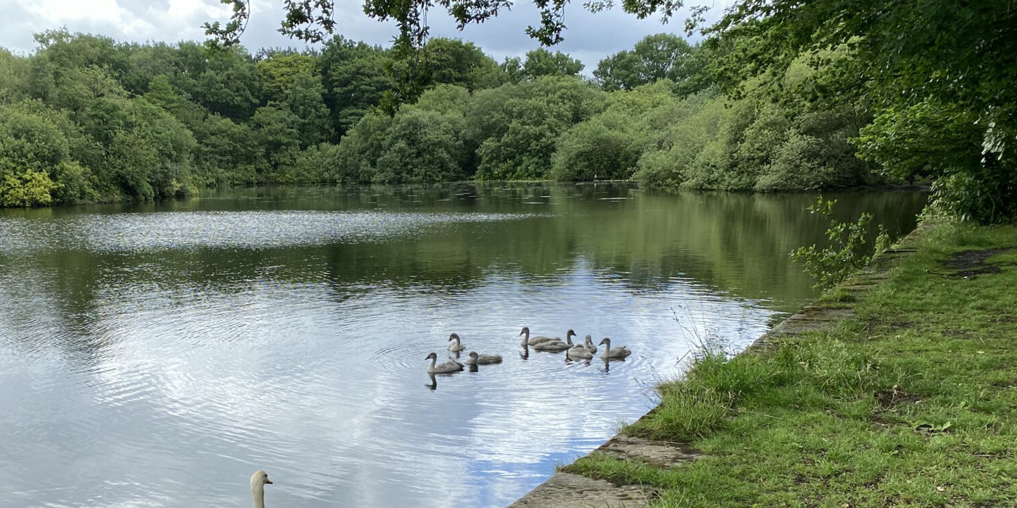 Breary Marsh - Discover Leeds