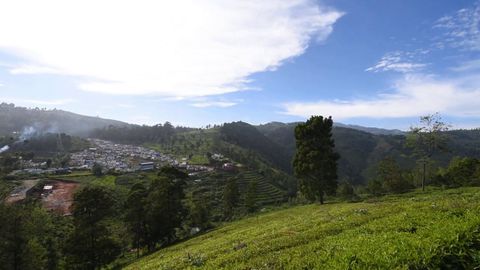 Hillock views