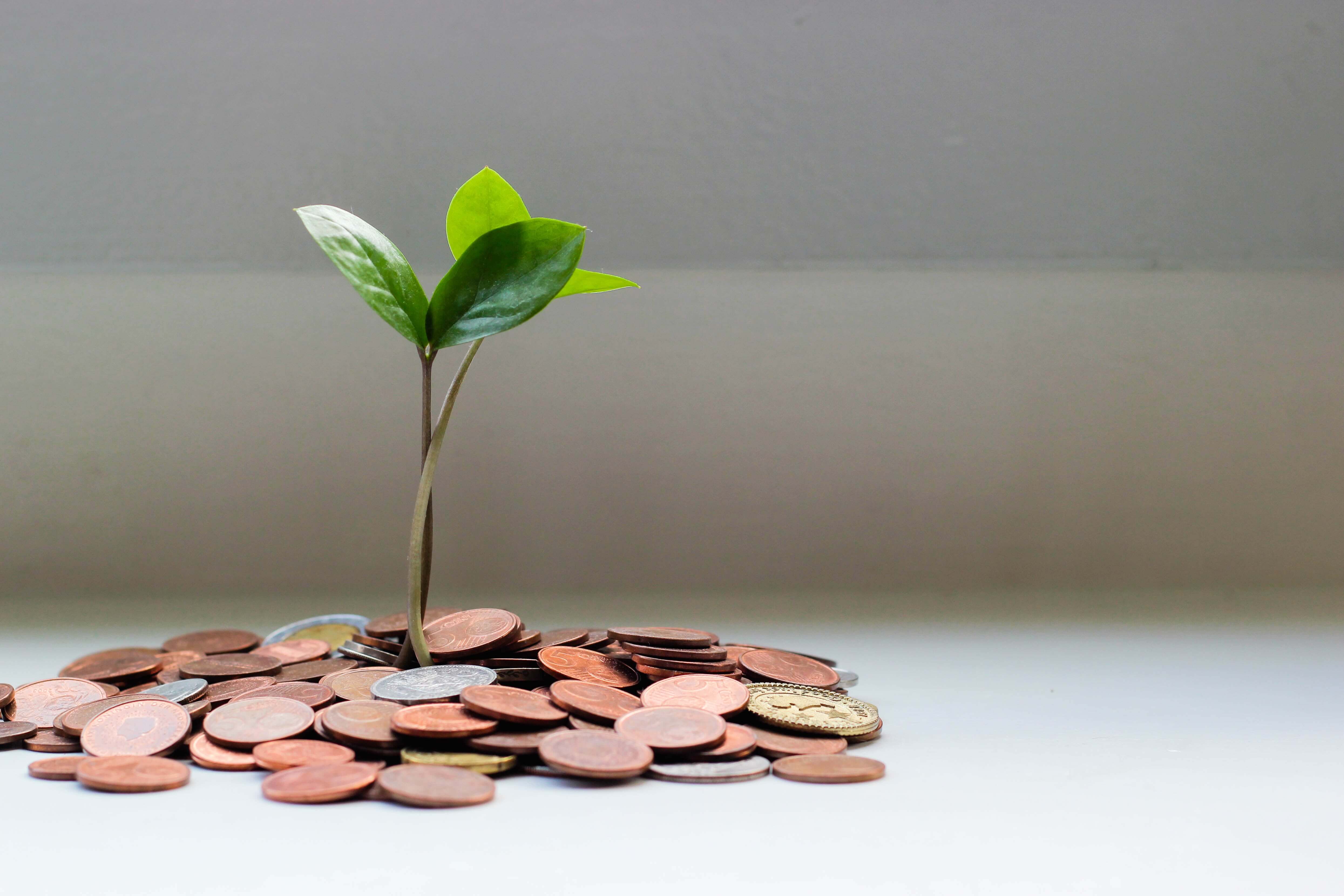 money management