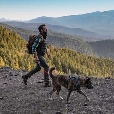 Dog-Friendly Hikes: Montana