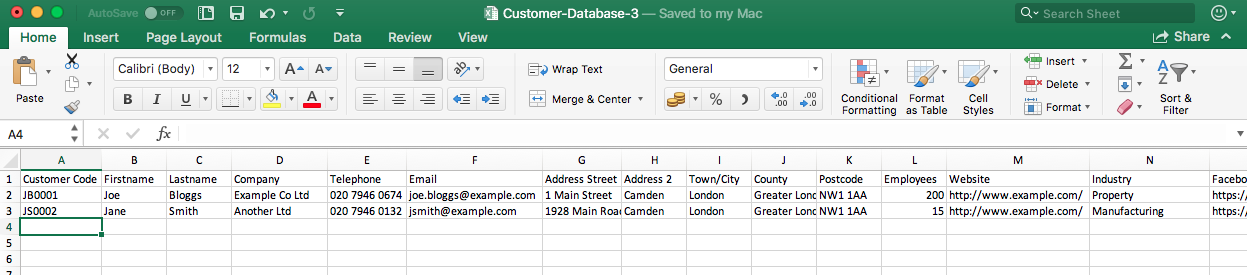 Excel Customer Database Example