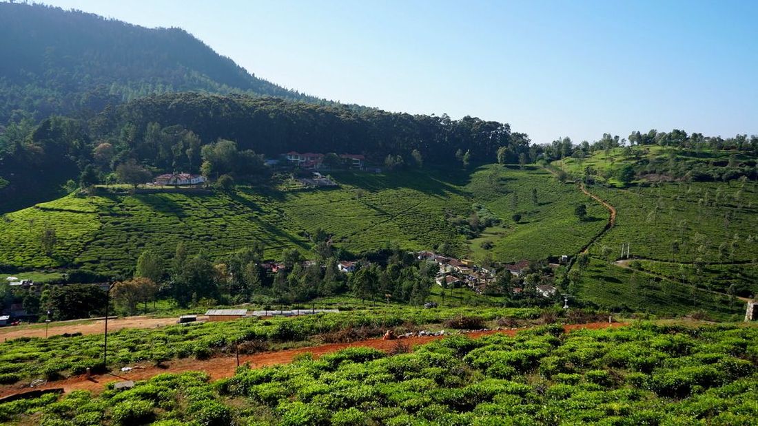 Hill Valley Enclave is directly opposite Glenwood bungalow along the Coonoor-Kotagiri Road
