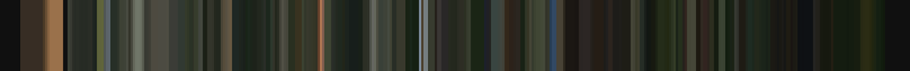 A barcode of colors from the vid Human Cannonball