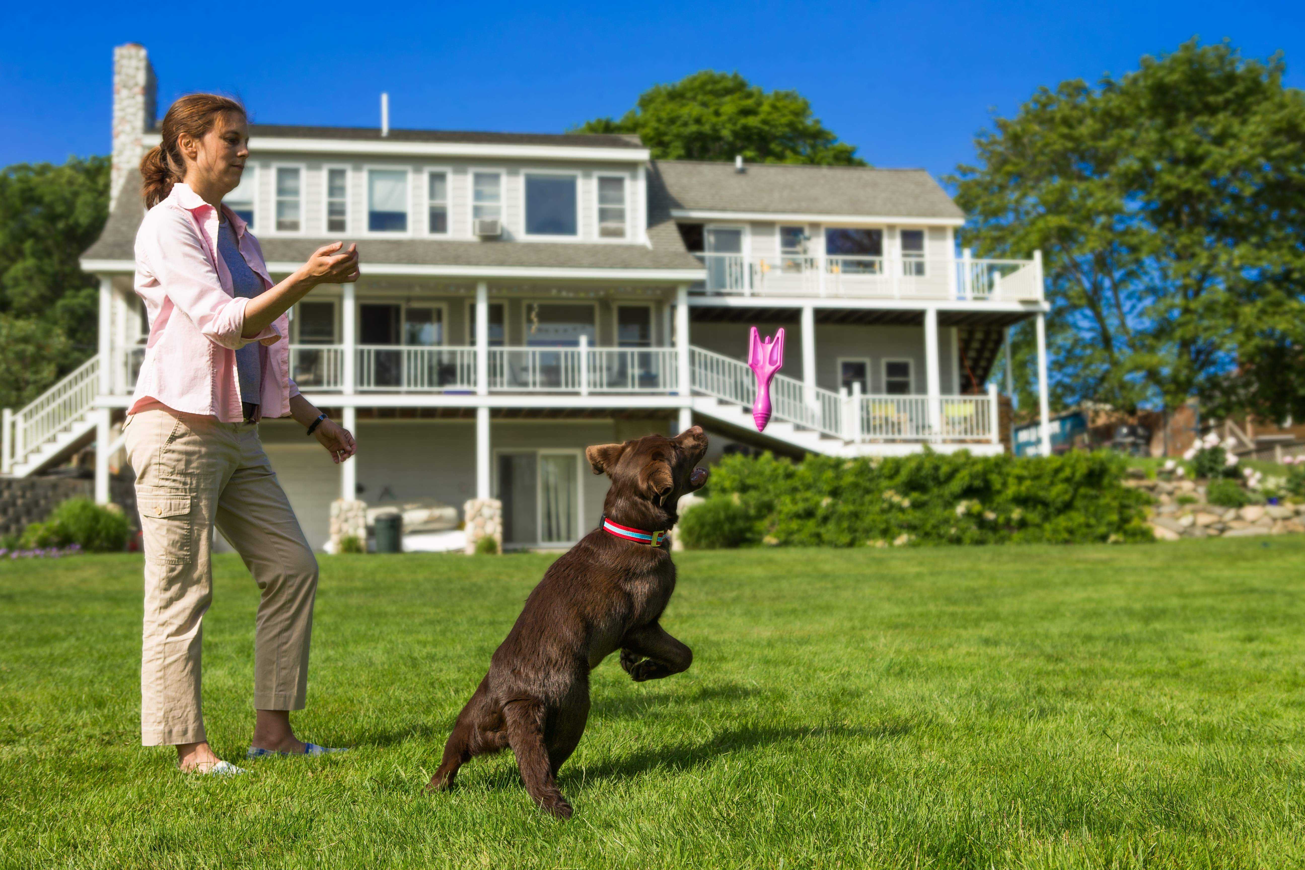 Kurgo's Yard Games: Doggie Dart