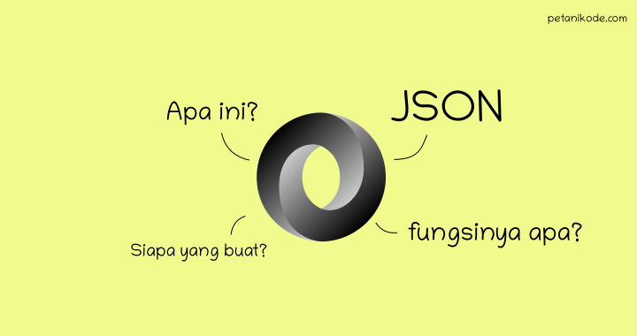 What is JSON, and what is the point in programming?