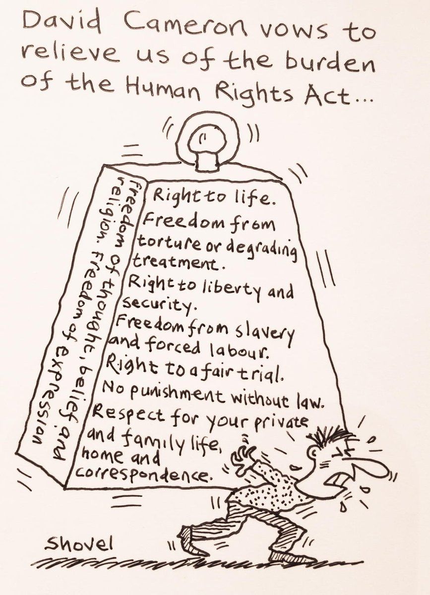 oh my god twitter doesn’t include alt text from images in their API