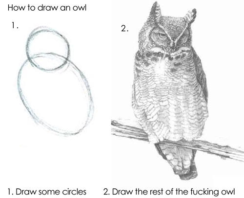 Step 1, draw two circles. Step 2, draw the rest of the fucking owl.