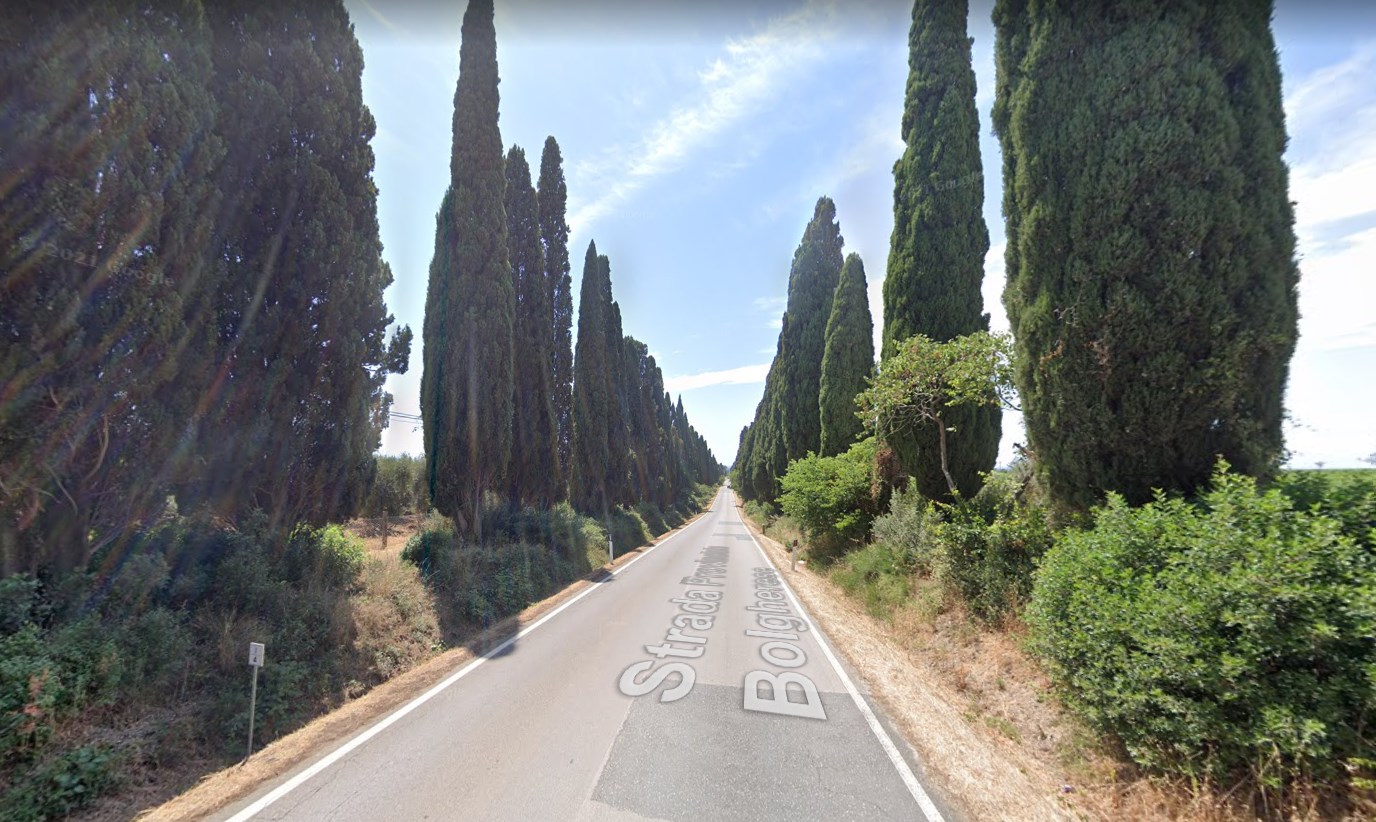 tuscany cypress