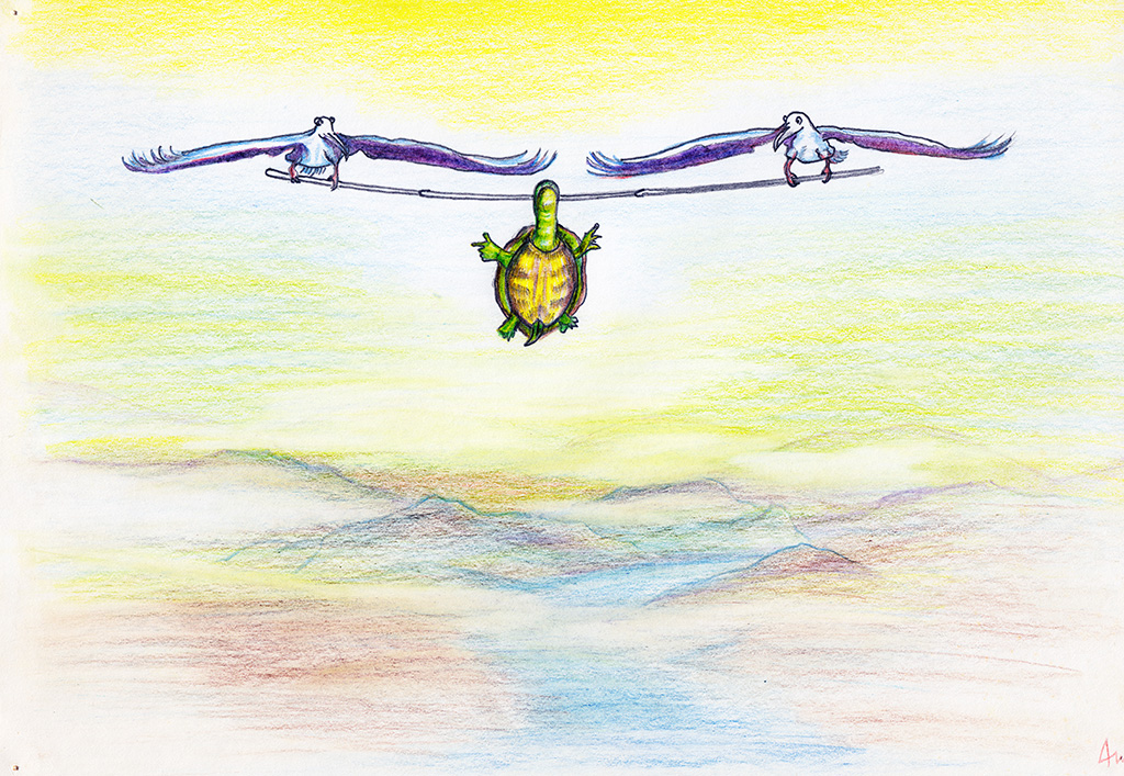 Flying Turtle