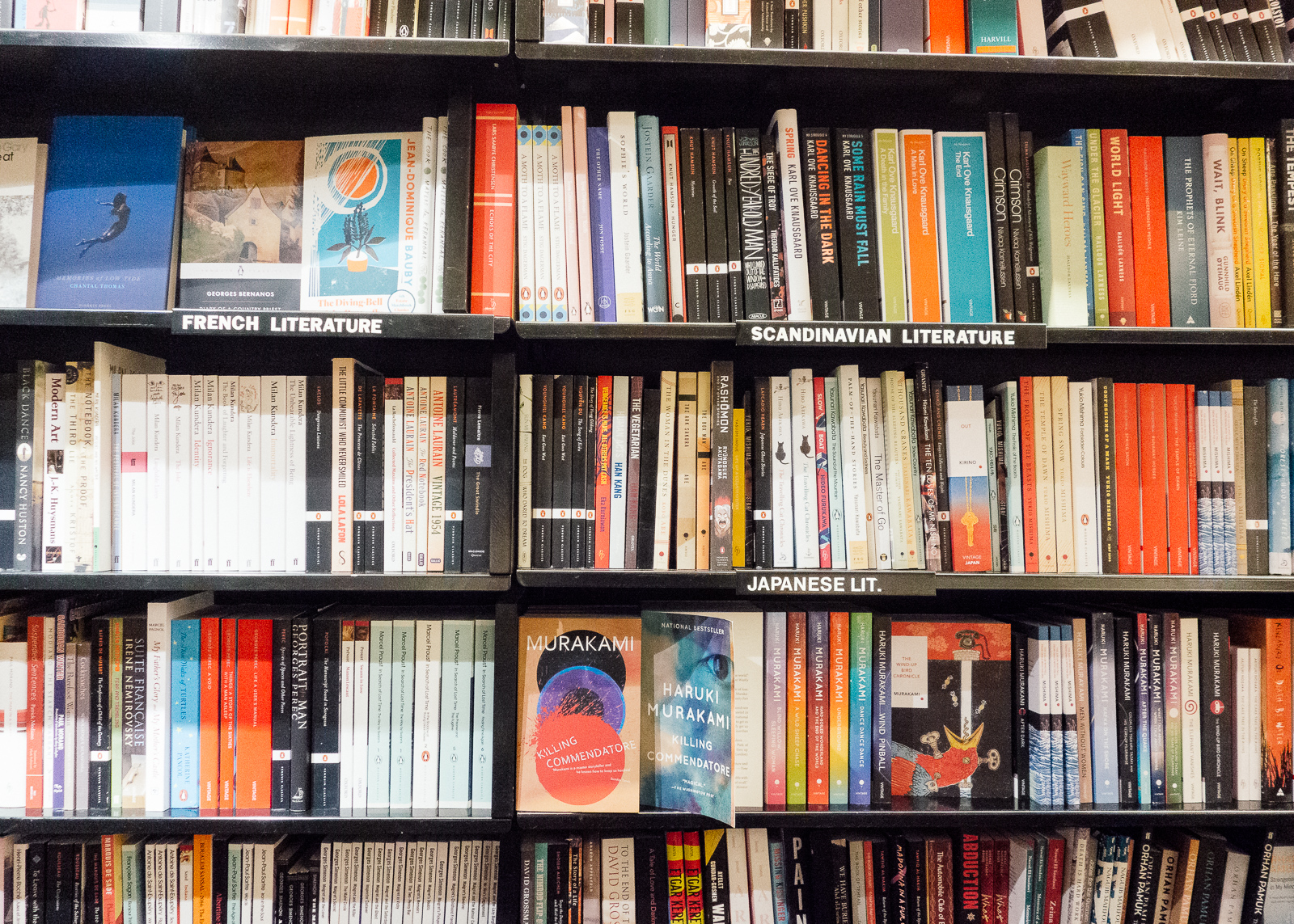 bookshelves stocked with international literature