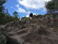 Climbing up to Maungapiko Lookout