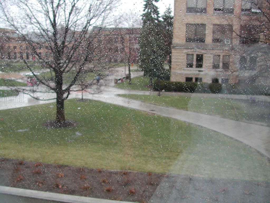 The weather at Animarathon III. It was a rainy day.