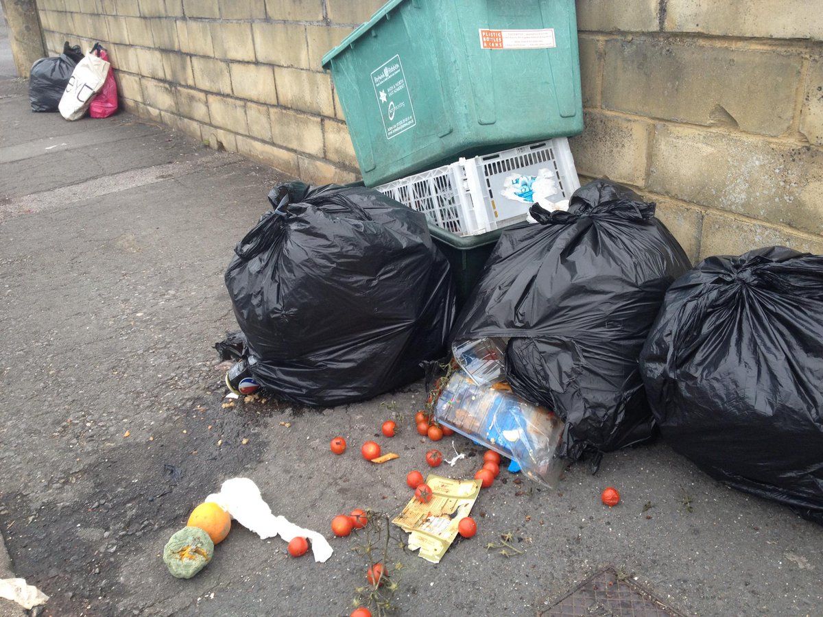 oh my god twitter doesn’t include alt text from images in their API