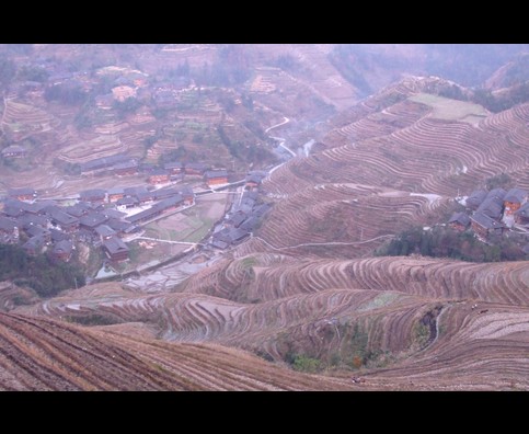 China Rice Terraces 14