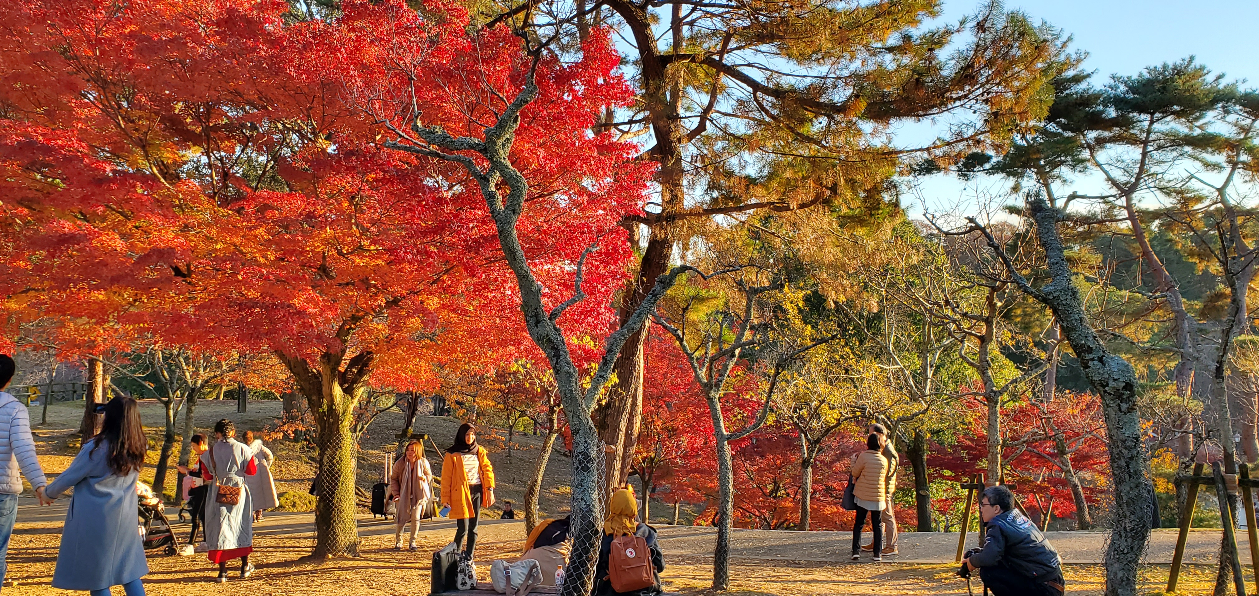 Nara Park