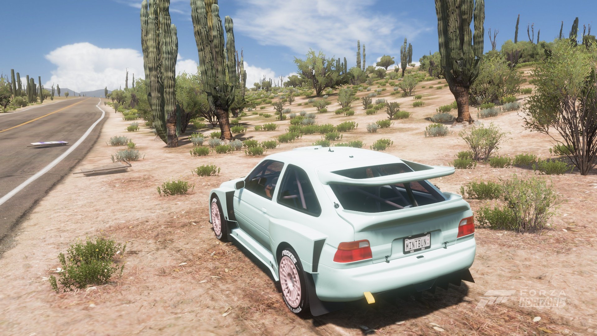 My mint car parked in front of a cactus.