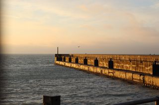A harbour wall with some seagulls flying at its end.