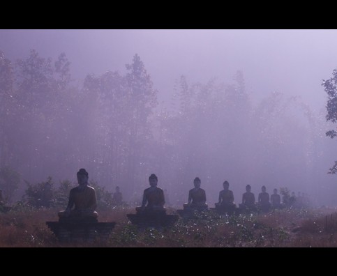 Burma Morning Buddhas 5