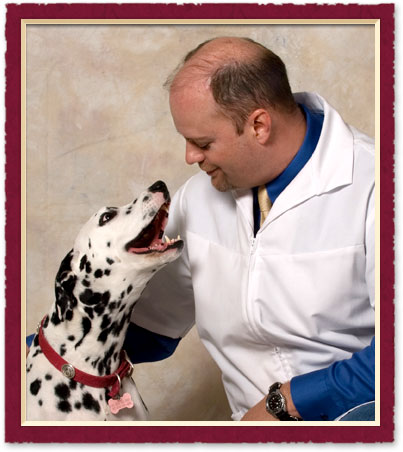 austin tx veterinary hospital