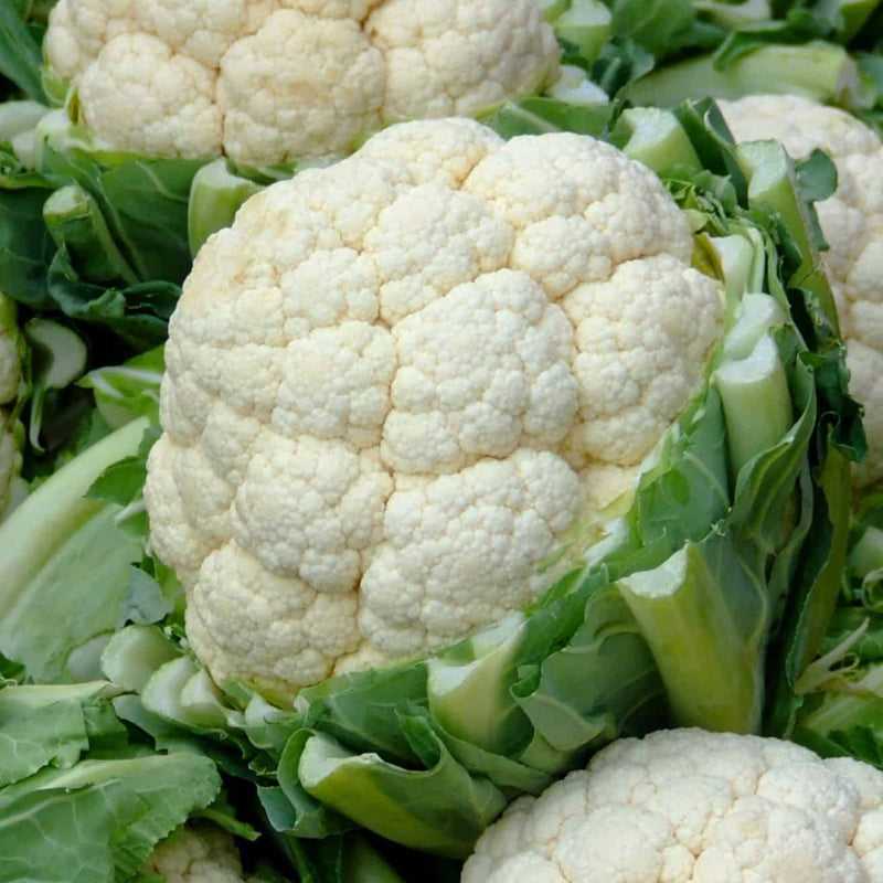 Greek-Grocery-Greek-Products-bio-cauliflower-800g