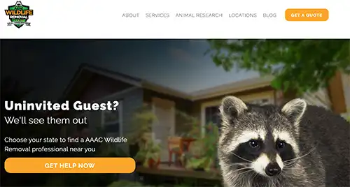 AAAC Wildlife Removal