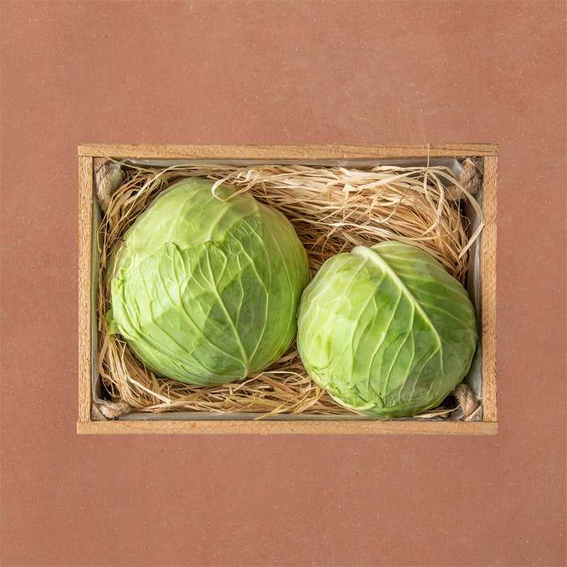 Greek Cabbage 3kg