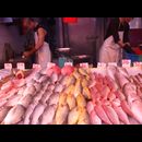 Hong Kong Fish