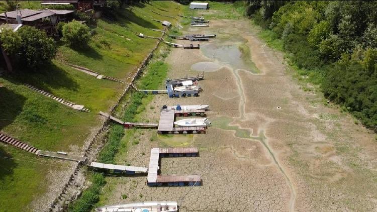 oh my god twitter doesn’t include alt text from images in their API