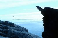 Horn of Ramsness, Fetlar.