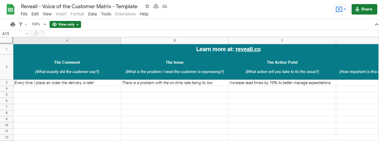 Voice of the Customer Tips with Ferdinand Goetzen: Screenshot of a Reveall's voice of the customer template on Google Sheets