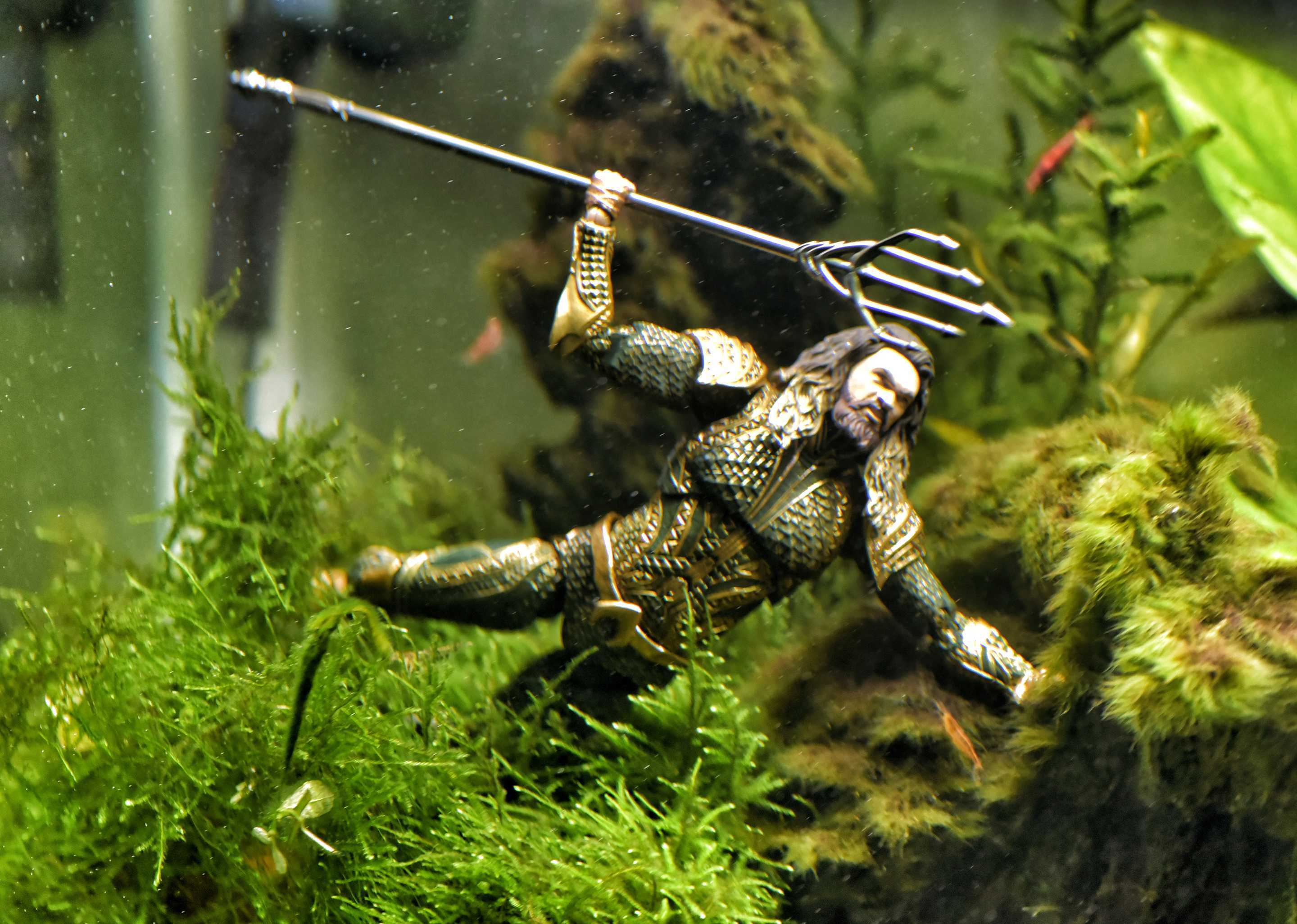 Aquaman In Fish Tank