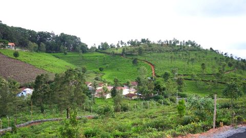 View of High filed in the distance