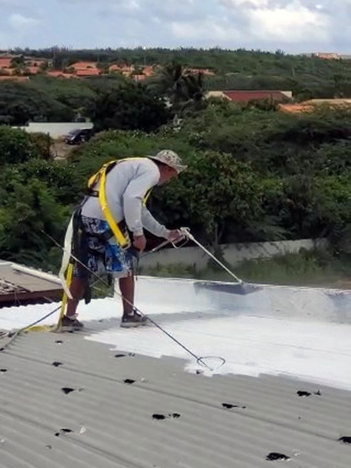 Perfect Calculation Painting - Roof painting