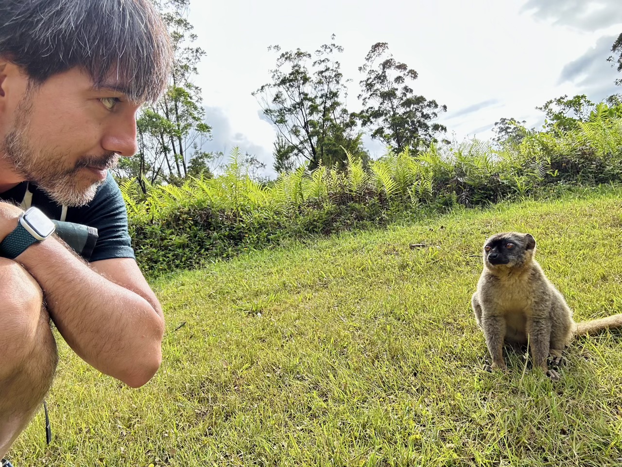 Selfie with a lemur, part ii