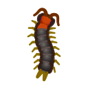 Centipede