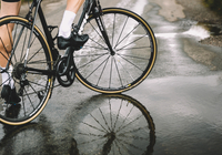 Alex De Palma Alex De Palma