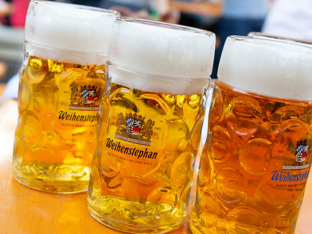 Raising a stein of beer after saying Prost!