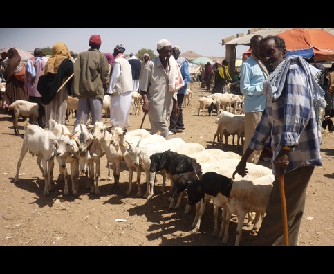 Somalia Animal Market 20