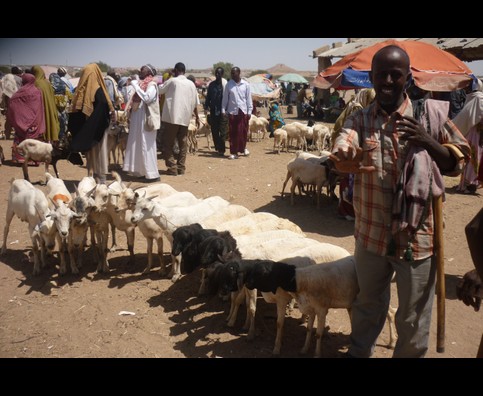 Somalia Animal Market 21