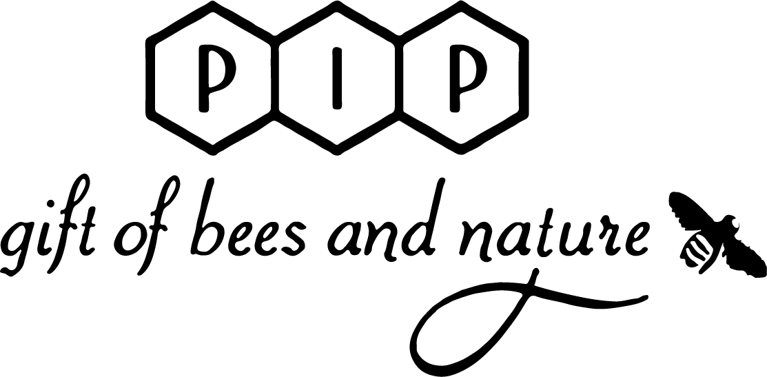 Pip logo
